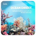 Caribsea Ocean Direct Natural Live Sand For Aquarium     5 Lb     Sea Breathe Techno