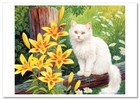 Funny Pets White Cat On The Fence  Lily Flowers Art New Rus  New Modern Postcard