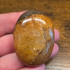 Lions Gate Quartz Palm Stone rare Find  Golden Healer Quartz And Pyrite  L s2