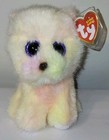 Ty Beanie Baby Babies 2026 Palmer The Pomeranian Dog 6  New Stuffed Animal Toy