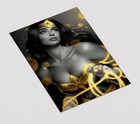 Wonder Woman Print Poster Gold Premium Giclee Dc Comics Wall Art 11  X 17 