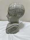 Vintage Porcelain 12    Phrenology Head By Ln Fowler - Excellent Condition 