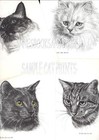  172 Old English Sheepdog    Dog Art Print Pen   Ink Drawing By Jan Jellins
