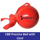 Bratla Hanging Cricket Ball With Cord String Pvc For Batting Practice