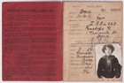 Ww1 Permit Book Dover Civilian Woman Photo Defence Of The Realm 1916 British