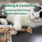 4 10pcs Silvervine Sticks For Cats  natural Catnip Sticks cats Chew Dental Treat