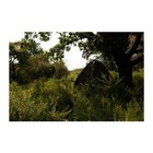 Ameristep Lightweight One Person Mossy Oak Ground Blind  break Up Country 