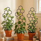 2pcs Honeycomb Plant Trellis Climbing Ivy Vine Hoya Support For Indoor Pot Plant