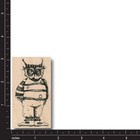 New Fun Owl Art Rubber Stamp Cute Bird Wearing Pants Face Big Eyes Circle Stripe