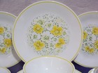 Corelle By Corning  spring Meadow  Dinnerware Service For 4  20 Pieces