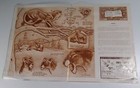 Leather Craftsman Pattern Vtg 1960s Cougar Rare Vhtf Templates Stohlman Lion 