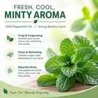 32 Fl Oz Bulk - Peppermint Essential Oil 100  Pure -  Greenhealth