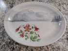 Great Northern Railroad Mountain   Flowers Dining Car China 4 Piece Lot