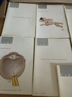Lot Of 9 Clinical Symposia 1962   72 Frank Netter Medical Illustrations