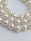 Vtg 6 5mm Cultured Pearl Necklace 18 75  14k Gold Filigree Clasp  z 