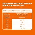Iams Proactive Health Adult Dry Cat Food With Real Salmon  22 Lb 