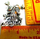 Poison Pin Vintage Collectible Old Rock Band Concert Music Memorabilia Pinback