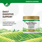Naturvet Digestive Enzymes Probiotics Healthy Digestion For Dogs And Cats 8 Oz