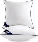 Luxurious Set Of 2 Euro Pillow Inserts - 26x26 Soft Cotton Covers - White