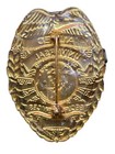 Vtg Nos Allied Universal Security Services Badge  Gold Tone  Random Number 