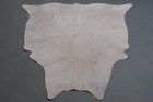 100  New Cowhide Rugs Area Cow Skin Leather  52  X 48   Cow Hide Sa-99