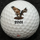 Island Country Club Golf Course Logo Golf Ball Marco Island  Fl 2001