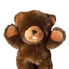 Vintage Princess Soft Toys Inc  Adorable Brown Plush Teddy Bear