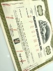 Vintage Playboy Enterprises Specimen Shares Stock Certificate Rare Nude Willyrey