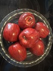 Lot 6 Pc Realistic Artificial Faux Fruit Fake Red Apples  Weighted Nice