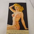 Vintage Pin-up Advertising Ink Blotter Standard Casting Co  Springfield Iowa