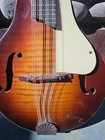 60 s Kay Mandolin