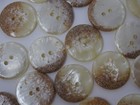 Vtg Antique 2-hole Round Polished Natural Shell Buttons Unique Lot Of 6 A13-1