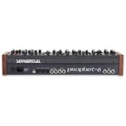 Dave Smith Instruments Sequential Prophet-6 Module