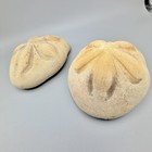 2 Vintage Puffy Sea Biscuit Sand Dollar Fossil Natural Genuine Shell 5   