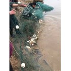 33ft 65ft Fishing Drag Net Beach Seine Bait Nylon Mesh Fish Net Drag Minnow Nets