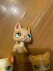 Lot Of 3  Hasbro Littlest Pet Shop Figures Cats Dog Used