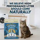 2 Bag Catalyst Pet Softwood Natural Clumping Cat Litter  Unscented  15 Lb Bag