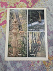 Vtg Rare Macrame Elegance Pattern Plant   Towel Holders 1976 Book  gs1m