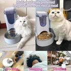 Cat Dog Auto Feeder Pet Food Automatic Feeding Dish Bowl Pet Automatic Bowl