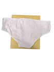 Woolly Women   s 95  Merino Wool Hipster Brief  Lilac  Medium  4 Pack