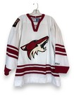 Ccm Phoenix Coyotes Nhl Hockey Jersey Adult Large White Vintage Made In Canada