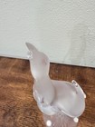 Lalique France Frosted Crystal Daphnis Seagull 9 5   