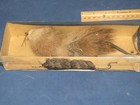 Vintage Weber Papa Muskrat Fishing Lure With Box Rare Combo Musky Lure