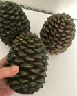 Vtg Unused Rustic Large 6 5  Natural  Pinecone Candle Brown Green New Xmas