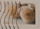  used  2011 44c Wedding Special Issue  Roses Scott 4520