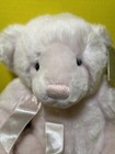 Dakin Plush Bears For A Cause Pink Teddy 14  Susan Komen Breast Cancer Awareness