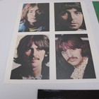 The Beatles Photos   Apple 1989 1990   265-004 005 006   Vg   8 X 10   Glossy