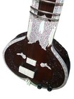 Indian Electric Travel Sitar Tun Wood Professional Classical   Bag   Strings