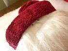 Original 19  Woof   Poof Santa With Hot Water Bottle 