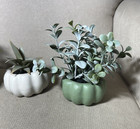 3 Artificial Succulents Plants Mini Fake Faux Plastic Home Office Decor Neutral